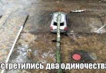 Юмористичная подборка фотографий