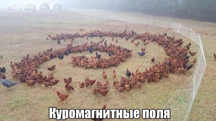 Отличный юмор в фотографиях