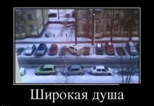 Свежая демотивация