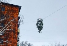Наша Раша: 20 кадров, повергающих в шок