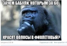 Смешные комментарии из соцсетей
