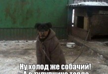 Свежие фото приколы