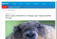 12 комментариев из соцсетей от 9 февраля