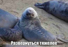 Забавные фотки