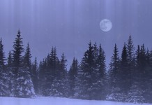 Сегодня — полнолуние Девы. Каких изменений можно ждать?