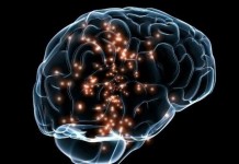 Интересные факты о сексе