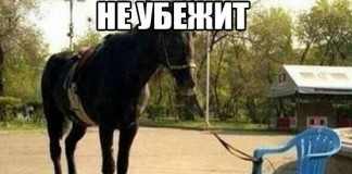 Анекдоты посмеяться