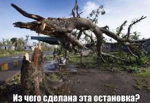 Пост позитива