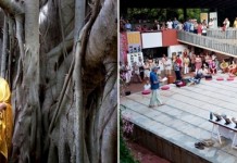 Ауровиль – город без политики и предрассудков