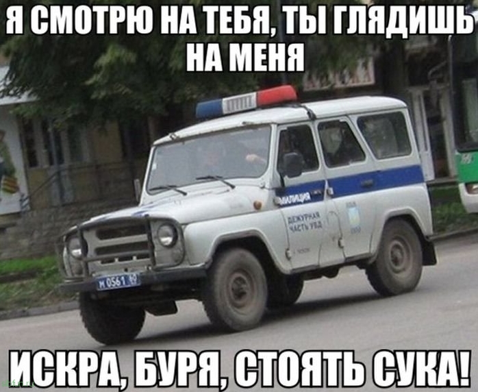 Прикольные картинки )))