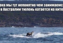11 новых весенних мемов, которые развеселят любого