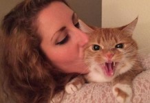 36 фото, вызывающих бурю эмоций