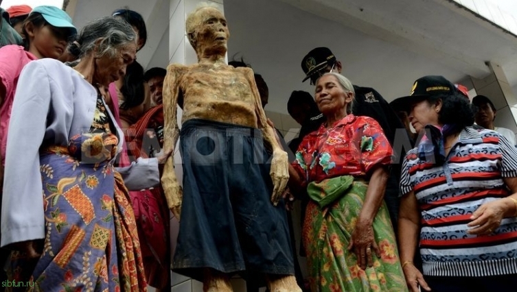 MaiNene или Церемония очищения трупов в Индонезии