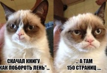 15 новых весенних мемов, которые развеселят любого