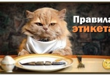 18 правил этикета, которые не знать уже стыдно!
