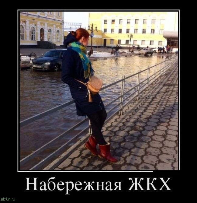 Демотиваторы