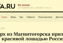 ТОП-20 нереально веселых заголовков