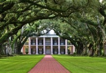 Плантация Дубовая Аллея