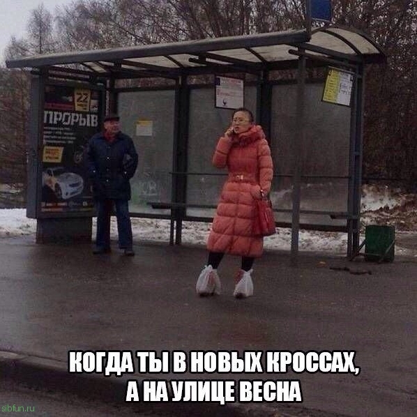 Смешные анекдоты 