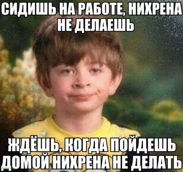 Юморные фотографии