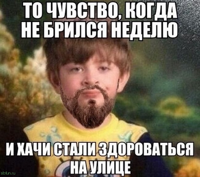 Прикольные картинки )))