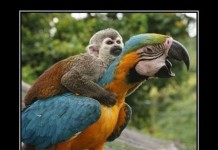 Демотивируемся!