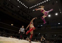 Женский реслинг в Японии