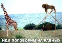 Картинки с надписями
