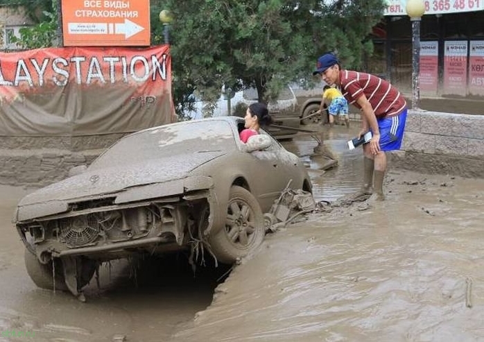 Прикольные картинки )))