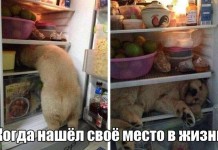 Позитива пост