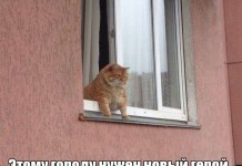 Прикольная фотоподборка