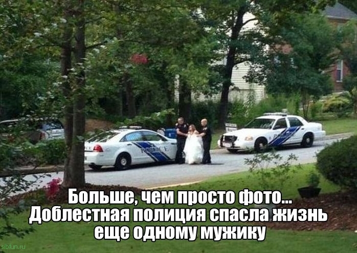 Прикольные картинки )))