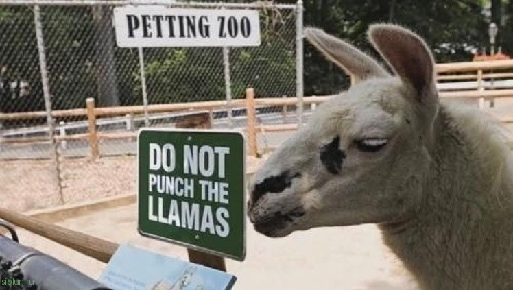 20 смешных случаев, когда поход в зоопарк не оправдал ожидания