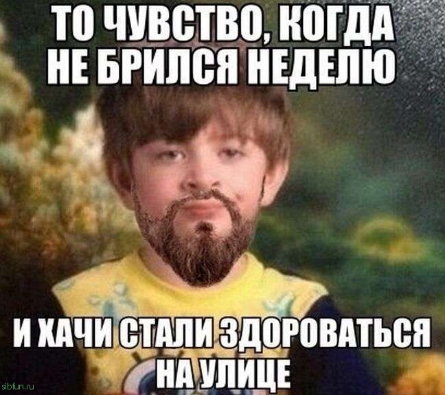 Веселые картинки