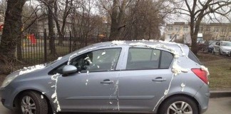 Жестокая автоместь