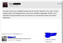 Комментарии из социальных сетей
