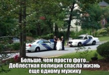 Веселые картинки