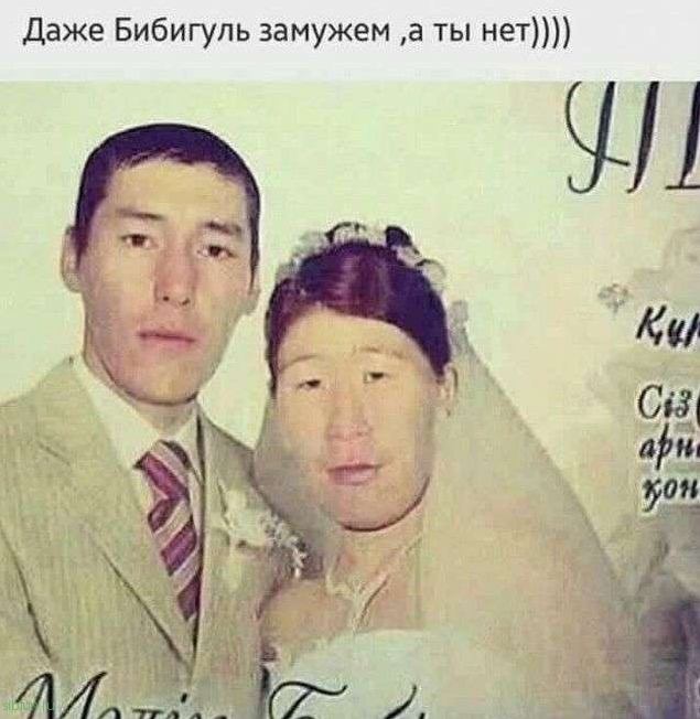 Юморные фотографии