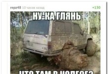 12 комментариев из соцсетей от 19 апреля