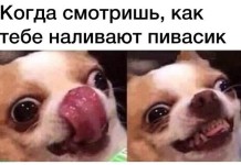 Прикольные картинки ))) # 27.04.2016