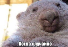 Фотоприколы