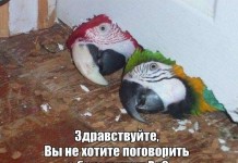 Прикольные фото
