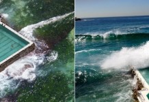 Необычный бассейн Бонди-Айсбергс в Сиднее