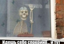 Фотографии с юмором