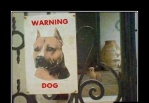 Улыбательные демотиваторы