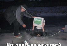 Прикольные картинки