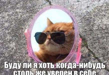 Классная фотоподборка