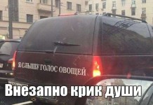 Фотографии с приколами