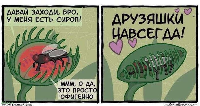 Смешные комиксы