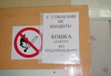 Прикольные надписи и объявления